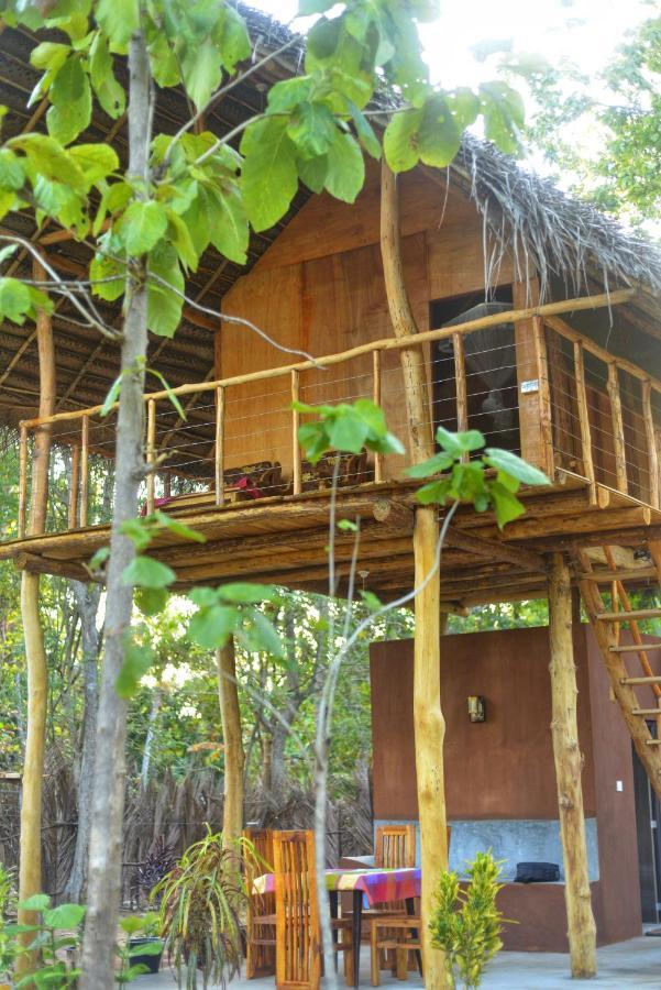Apartmán Pidurangala View Treehouse Sigiriya Exteriér fotografie