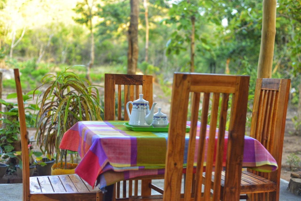 Apartmán Pidurangala View Treehouse Sigiriya Exteriér fotografie