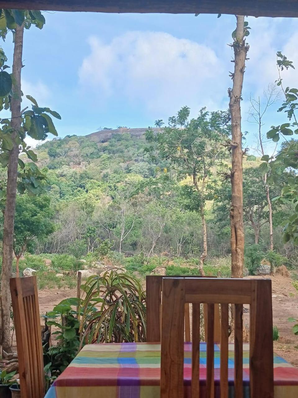 Apartmán Pidurangala View Treehouse Sigiriya Exteriér fotografie
