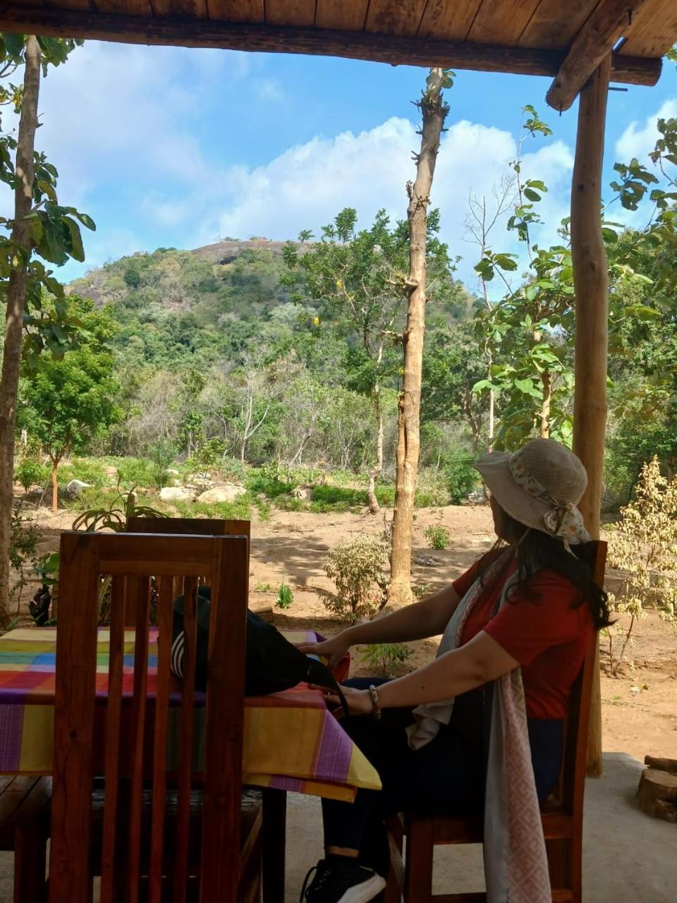 Apartmán Pidurangala View Treehouse Sigiriya Exteriér fotografie