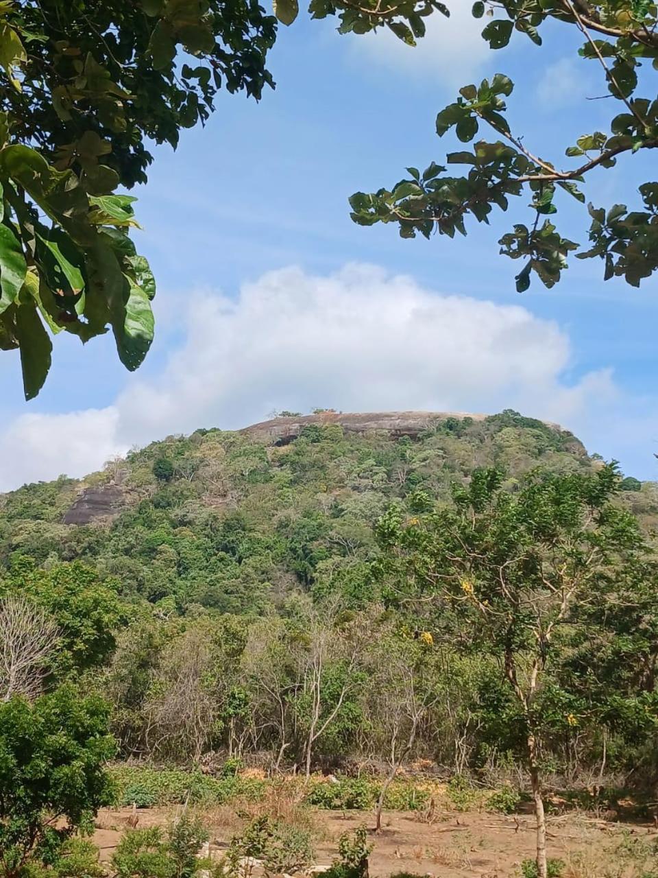 Apartmán Pidurangala View Treehouse Sigiriya Exteriér fotografie