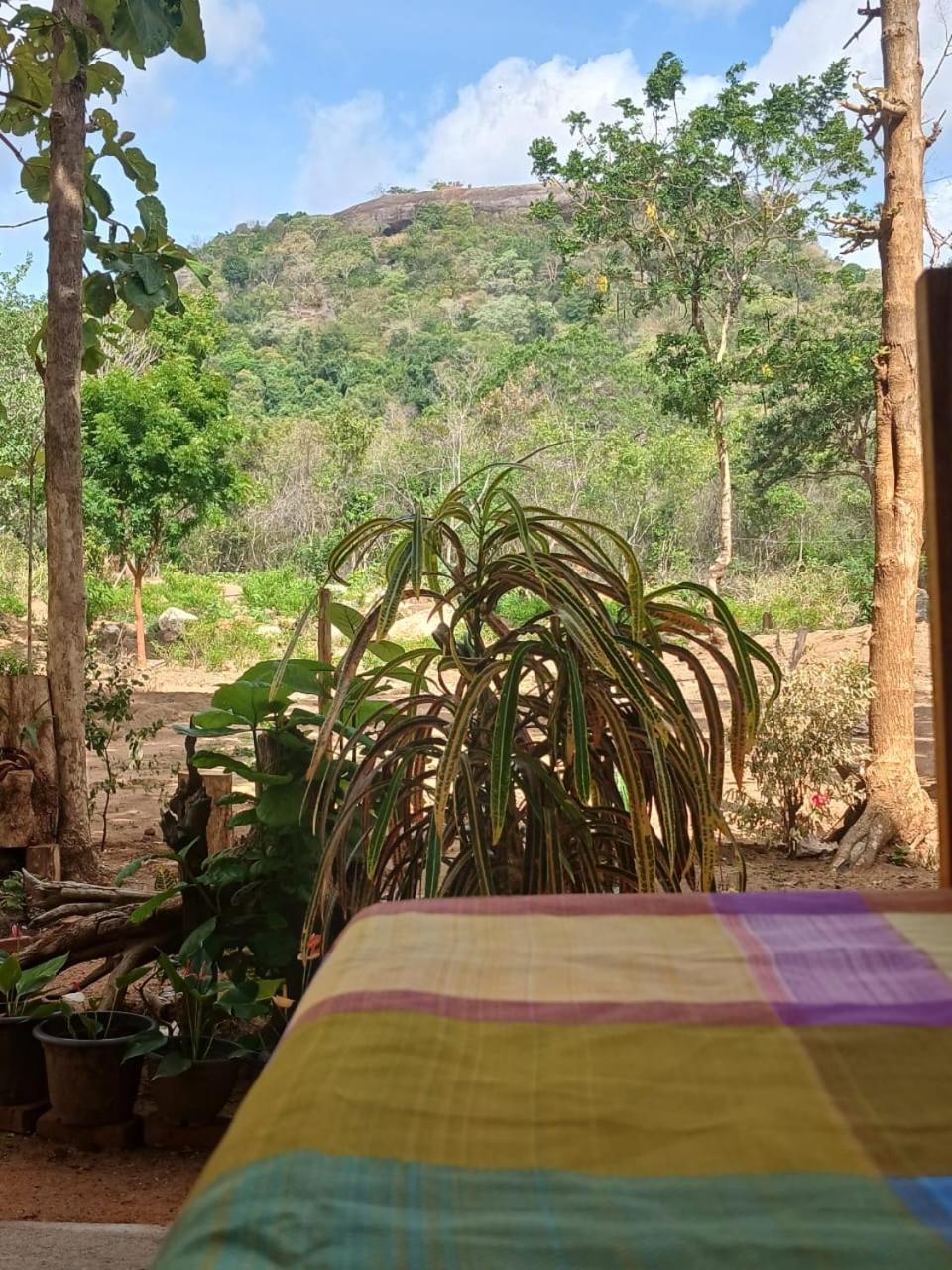 Apartmán Pidurangala View Treehouse Sigiriya Exteriér fotografie