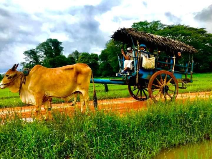 Apartmán Pidurangala View Treehouse Sigiriya Exteriér fotografie