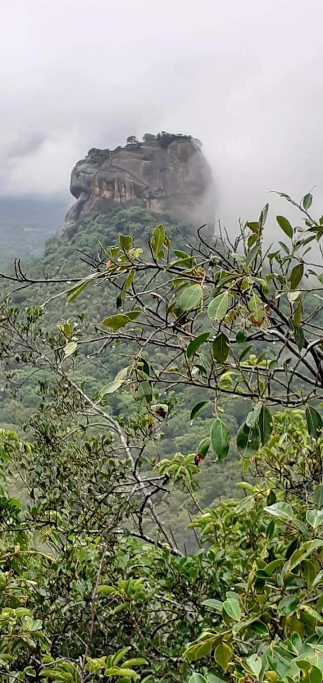 Apartmán Pidurangala View Treehouse Sigiriya Exteriér fotografie