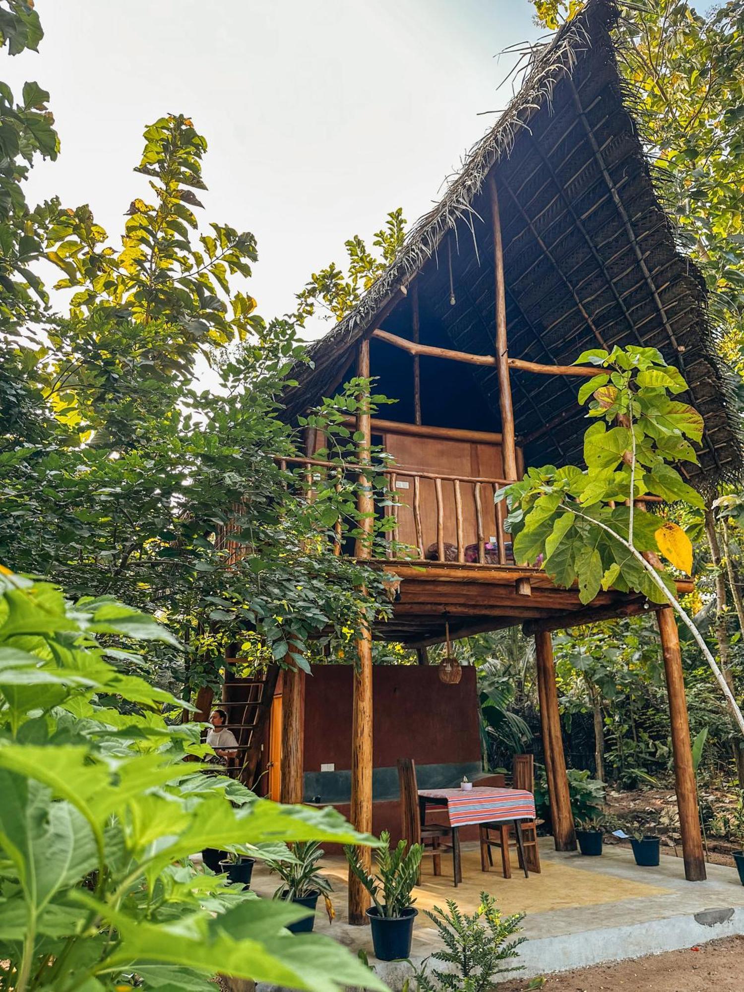 Apartmán Pidurangala View Treehouse Sigiriya Exteriér fotografie