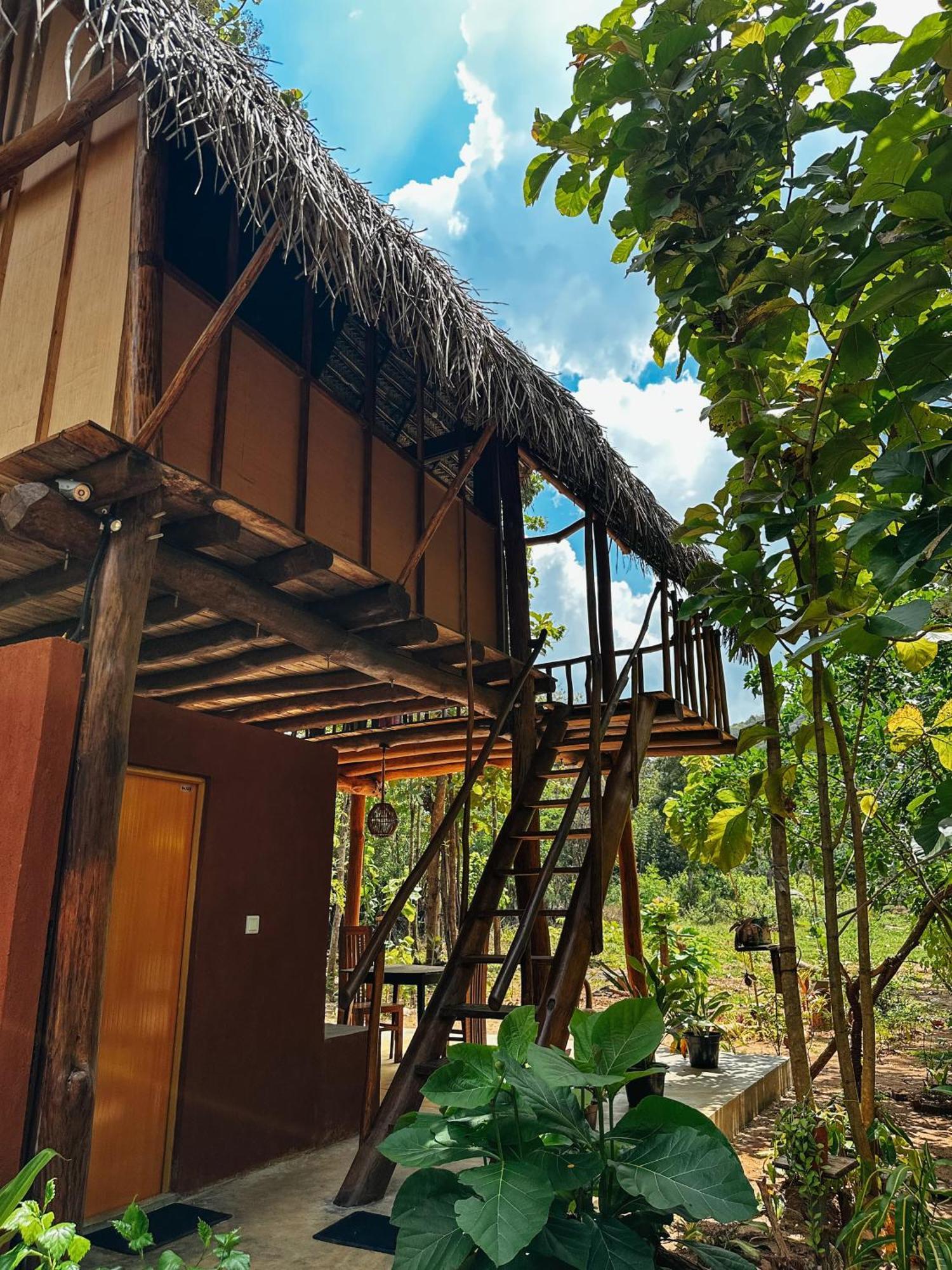 Apartmán Pidurangala View Treehouse Sigiriya Exteriér fotografie