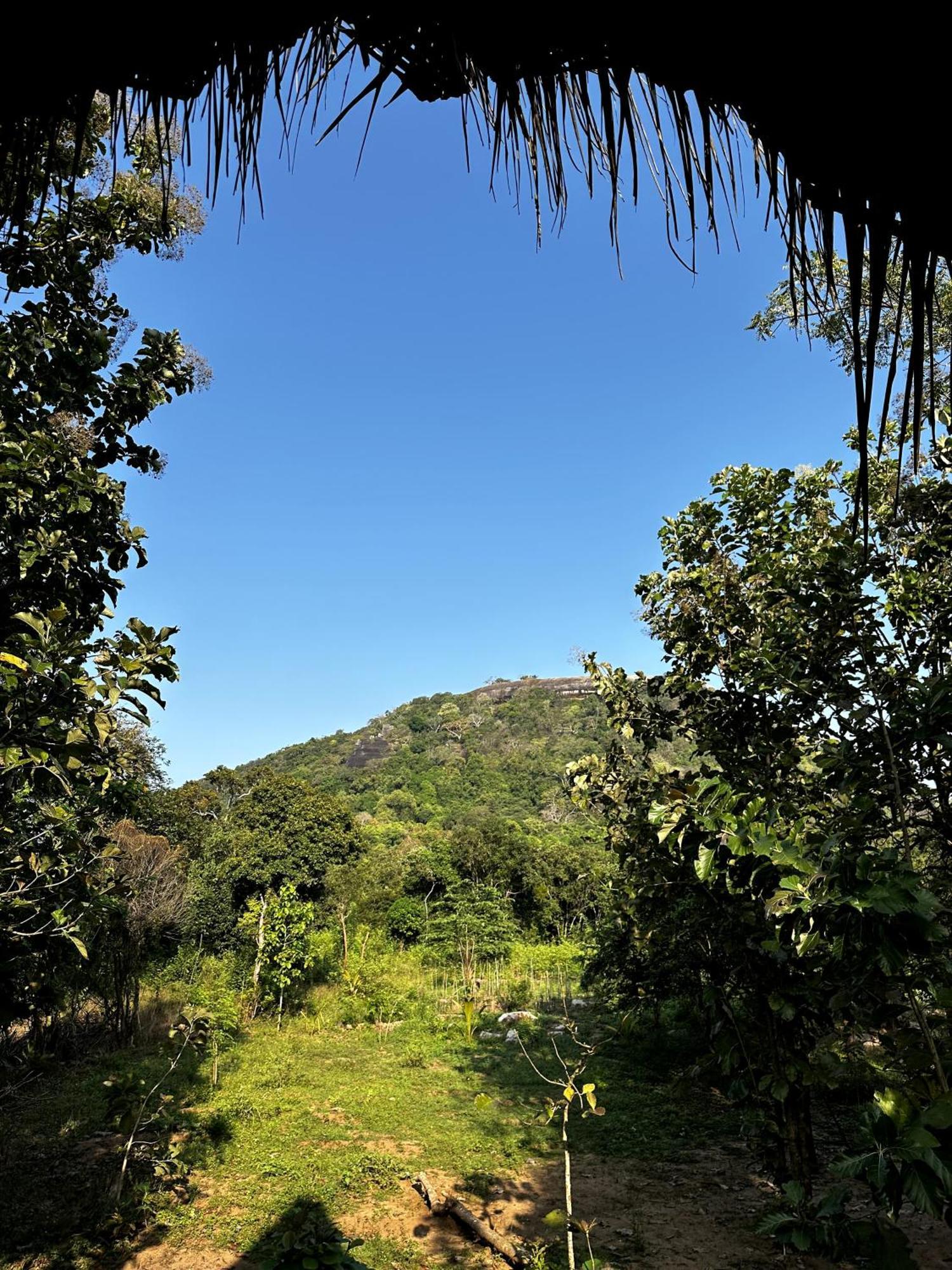 Apartmán Pidurangala View Treehouse Sigiriya Exteriér fotografie