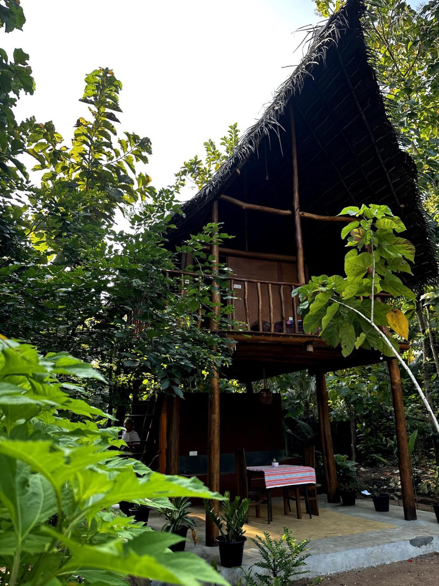 Apartmán Pidurangala View Treehouse Sigiriya Exteriér fotografie