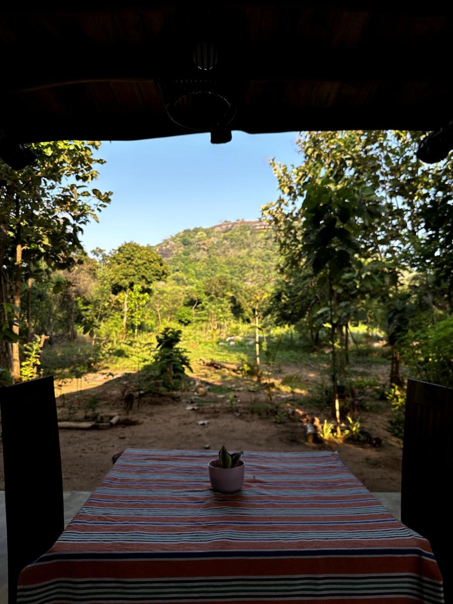 Apartmán Pidurangala View Treehouse Sigiriya Exteriér fotografie