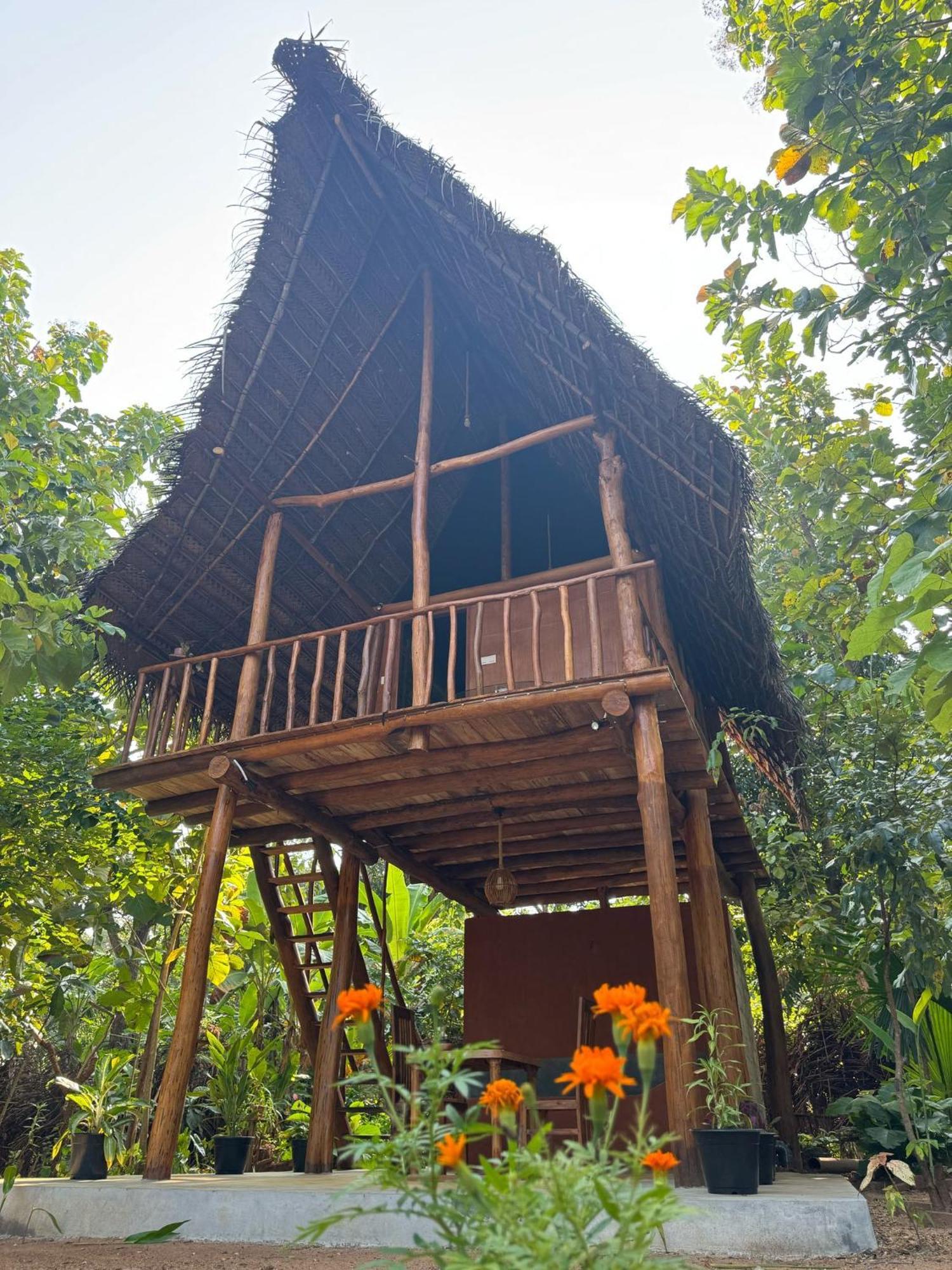 Apartmán Pidurangala View Treehouse Sigiriya Exteriér fotografie