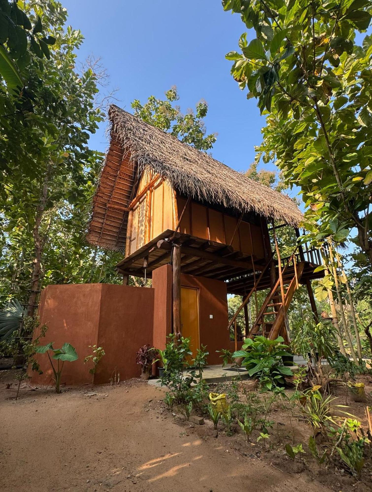 Apartmán Pidurangala View Treehouse Sigiriya Exteriér fotografie