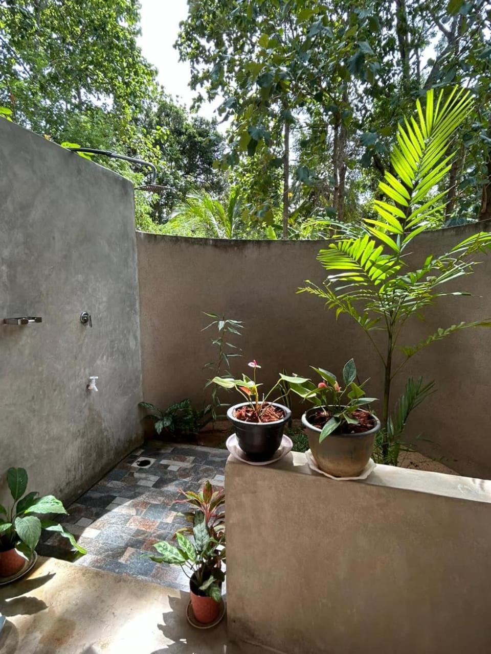 Apartmán Pidurangala View Treehouse Sigiriya Exteriér fotografie