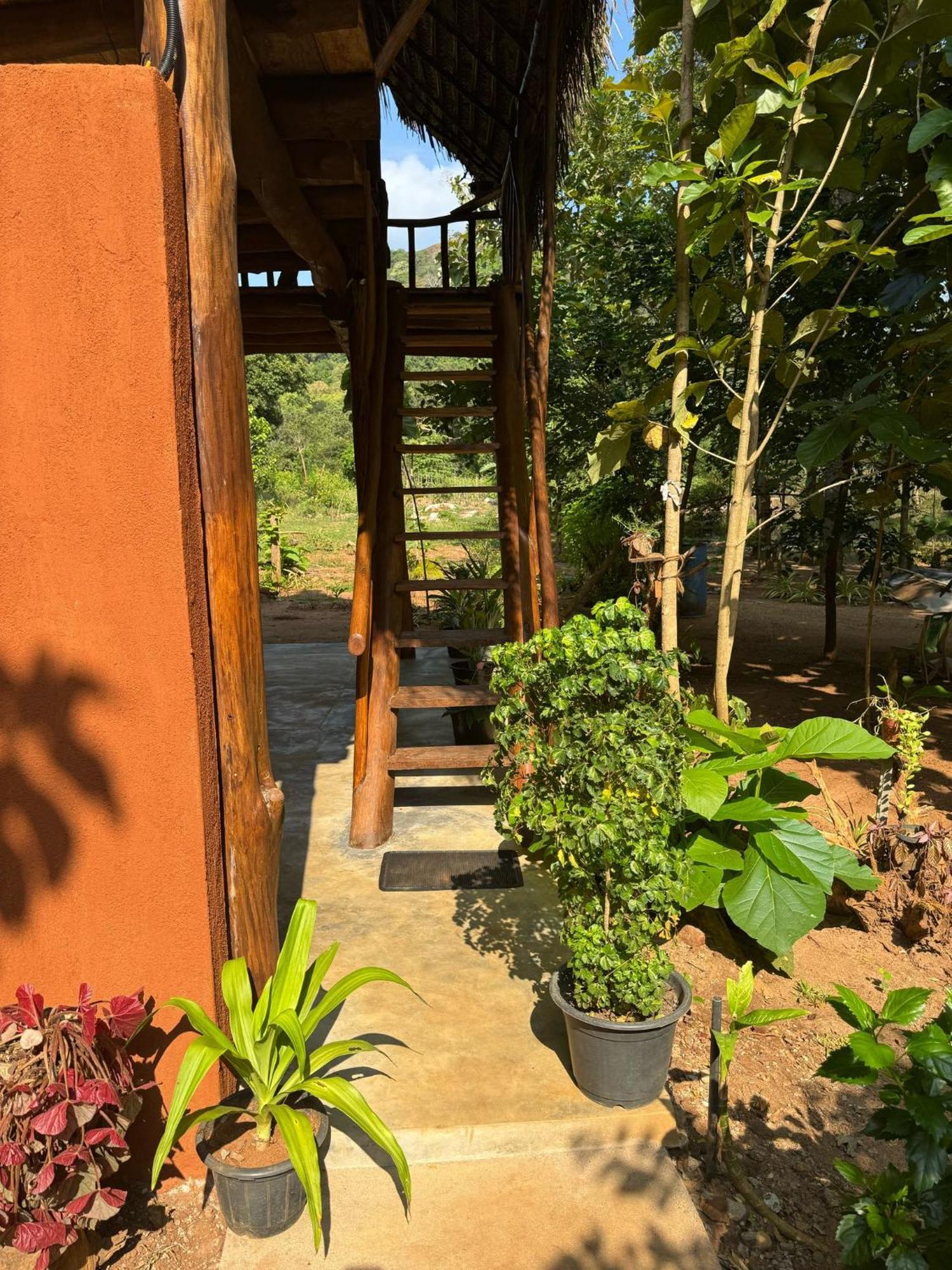 Apartmán Pidurangala View Treehouse Sigiriya Exteriér fotografie